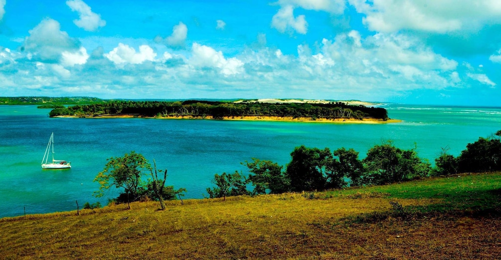 Picture 2 for Activity From Natal: Pipa Beach Full-Day Excursion