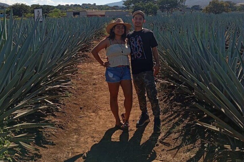 Weekend Entre to Charros Mariachi Tequila and Guachimontones