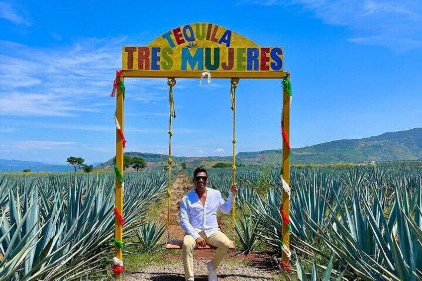 Weekend Entre to Charros Mariachi Tequila and Guachimontones 