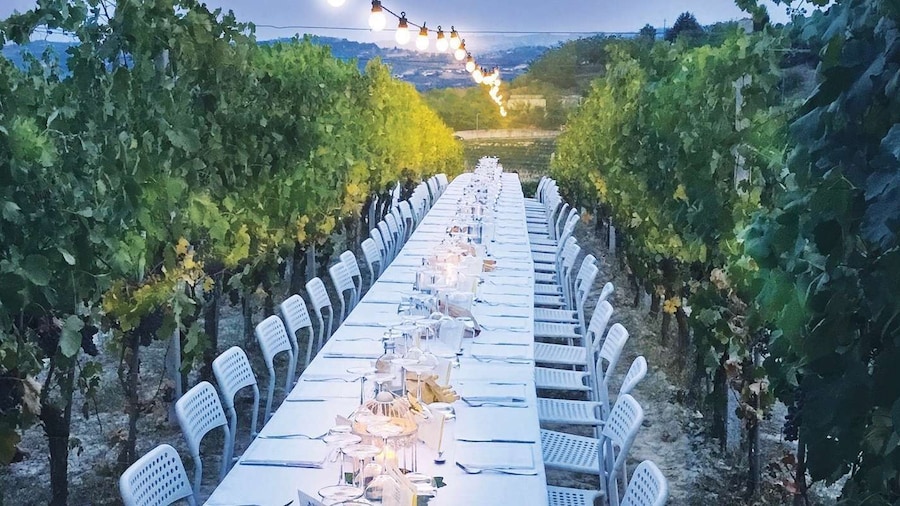 Montepulciano: Tuscan Winery Tour with Wine Tasting & Meal