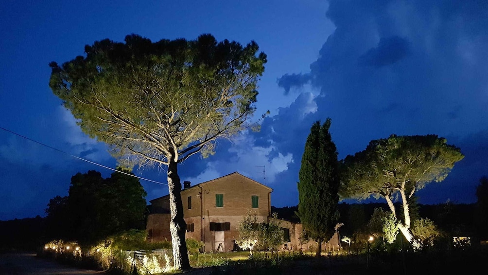 Picture 3 for Activity Montepulciano: Tuscan Winery Tour with Wine Tasting & Meal
