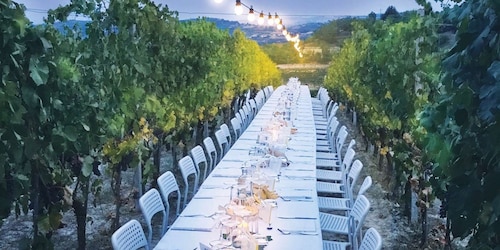 Montepulciano: Toskansk vingårdstur med vinsmaking og måltid