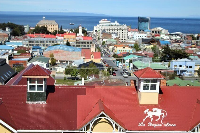 Private Punta Arenas Pioneers and Palacios City Tour