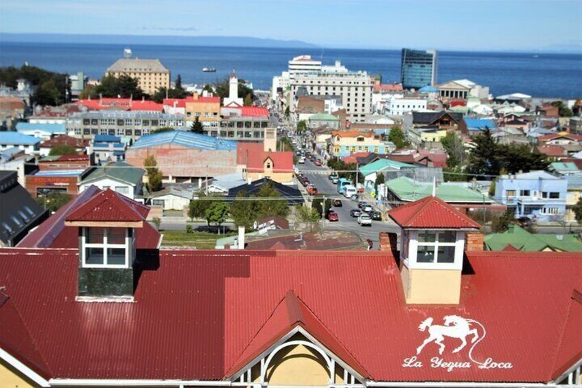 Private Punta Arenas Pioneers and Palacios City Tour