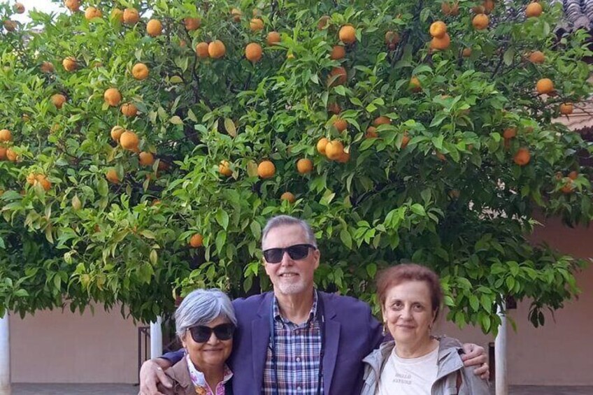 Alhambra orange trees