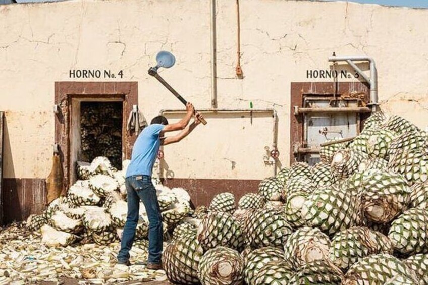 Visit to Matices Hotel de Barricas in Tequila Jalisco