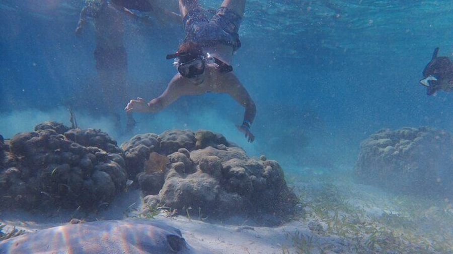All-Inclusive Full-Day Hol Chan Snorkeling Tour