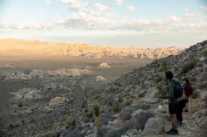 Joshua Tree Half Day Private Sunrise Hike