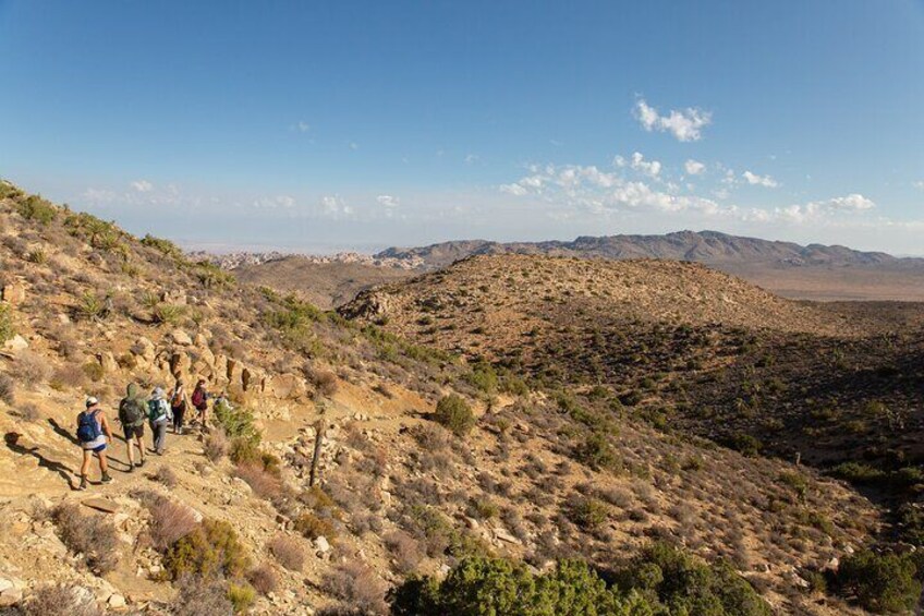 Joshua Tree Half Day Private Sunrise Hike