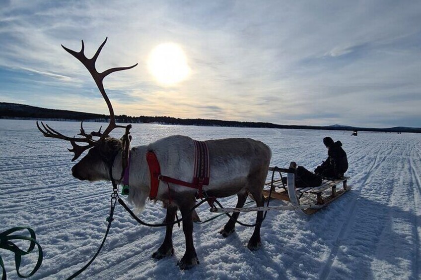 Daytime Experience in Jukkasjärvi