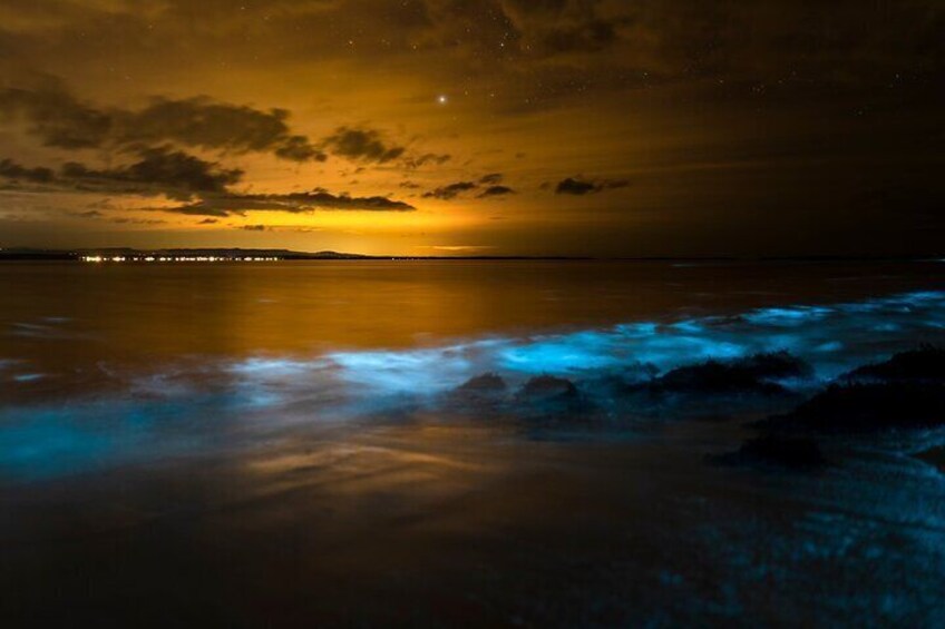 Discover Bioluminescense Night Dive 