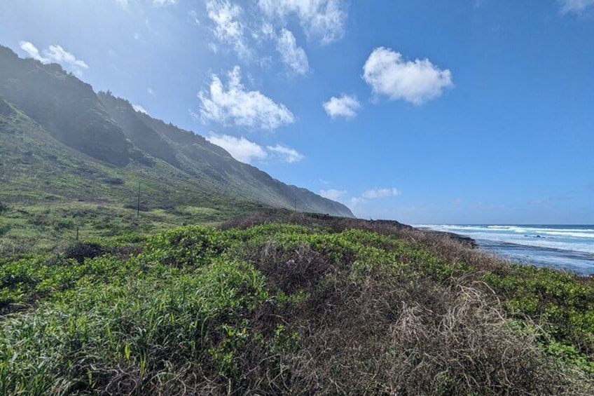 Famed North Shore Tour