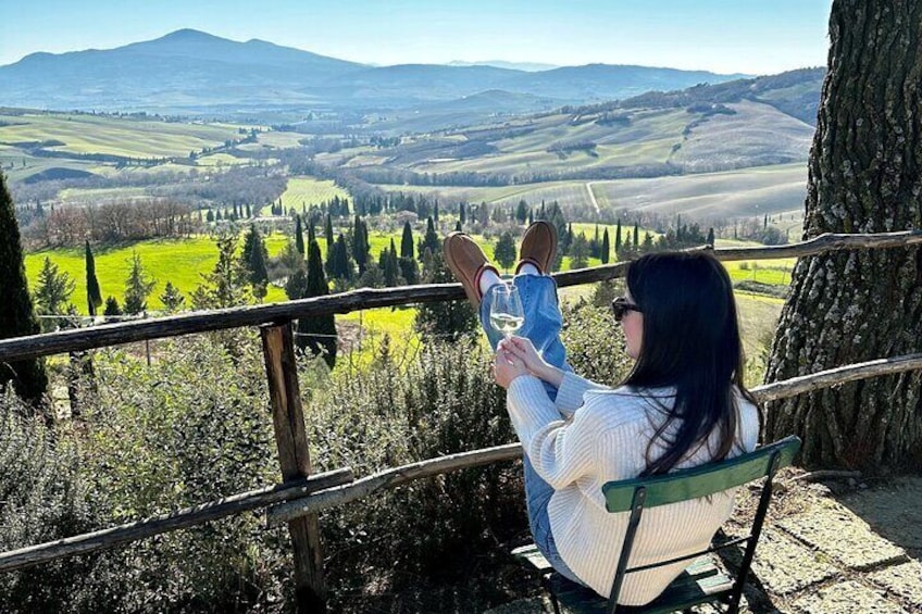 One Day Private Wine Tour In Tuscany From Rome 