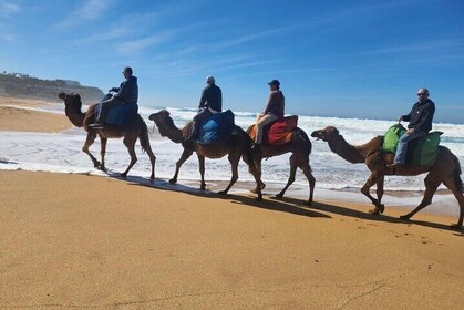 Tangier Luxury Private Day Tour From Tarifa & camel ride & Lunch