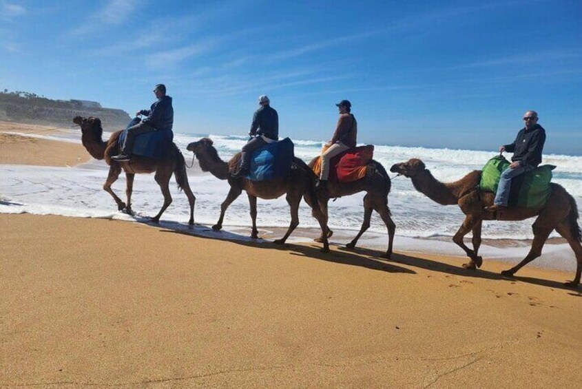 Luxury Tangier Private Day trip from Tarifa camel ride & lunch