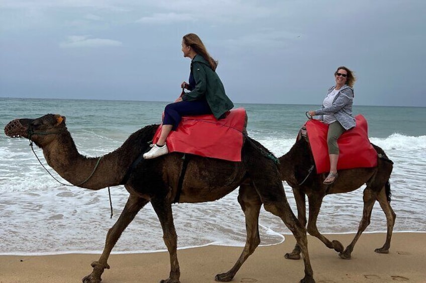 Luxury Tangier Private Day trip from Tarifa camel ride & lunch