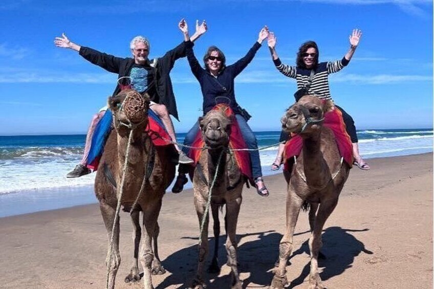 Luxury Tangier Private Day trip from Tarifa camel ride & lunch