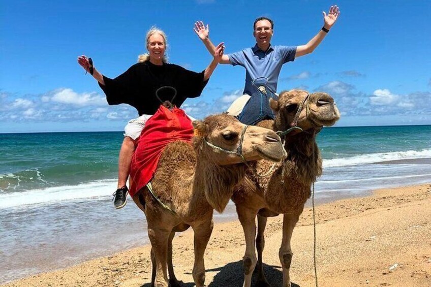 Authentic Tangier Private day Trip from Tarifa & camel ride 