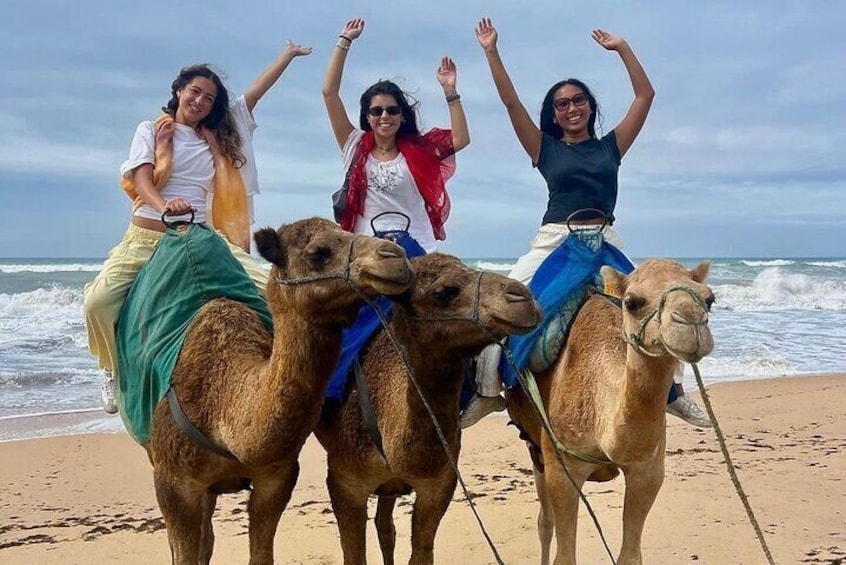 Luxury Tangier Private Day trip from Tarifa camel ride & lunch