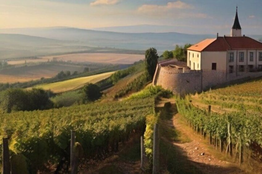 Nice Vinous Day Private Tour from Budapest to Eger and Tokaj