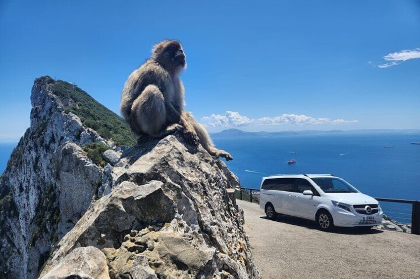 Private Gibraltar Panoramic Tour with Monkeys