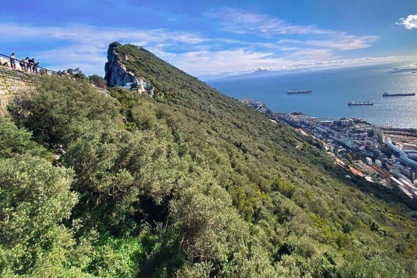 Private Gibraltar Panoramic Tour with Monkeys