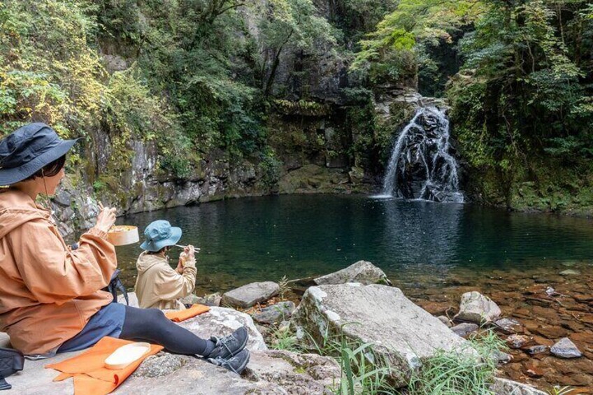 Private Tour of Akame 48 Waterfalls with Bento Making