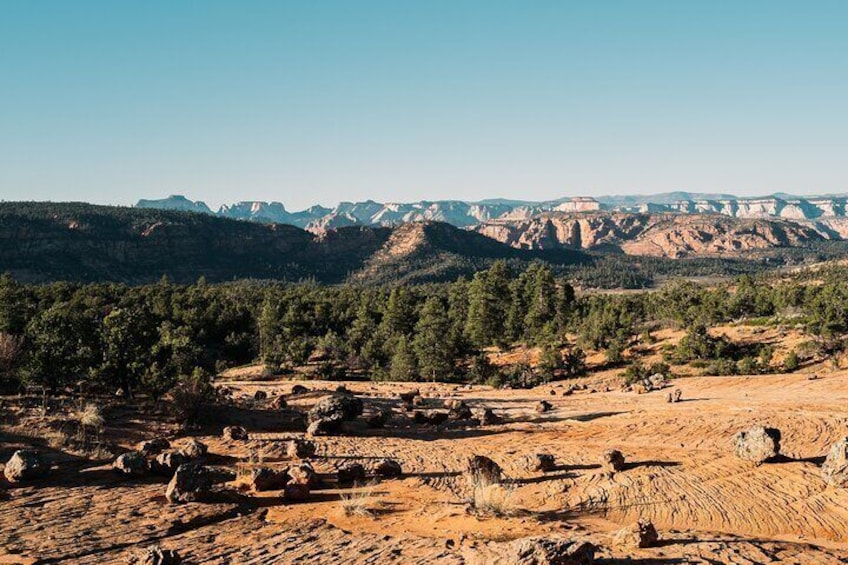 East Zion Outback UTV Tour with Licensed Guide