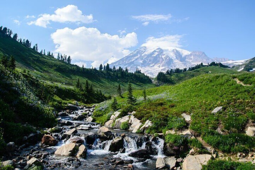 Mount Rainier Full Day Small Group Tour 