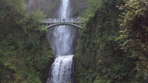 กลุ่มเล็ก - ทัวร์ภูเขาฮูดและหุบเขาแม่น้ำโคลัมเบีย