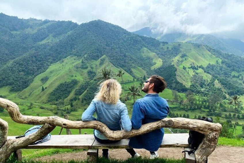 Private Full Day Tour in Cocora Valley and Coffee Farm