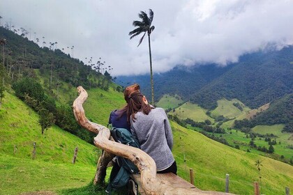 Private Full Day Tour in Cocora Valley and Coffee Farm