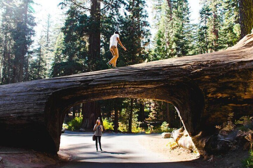 Sequoia & Kings Canyon Two Day Private Tour and Hike