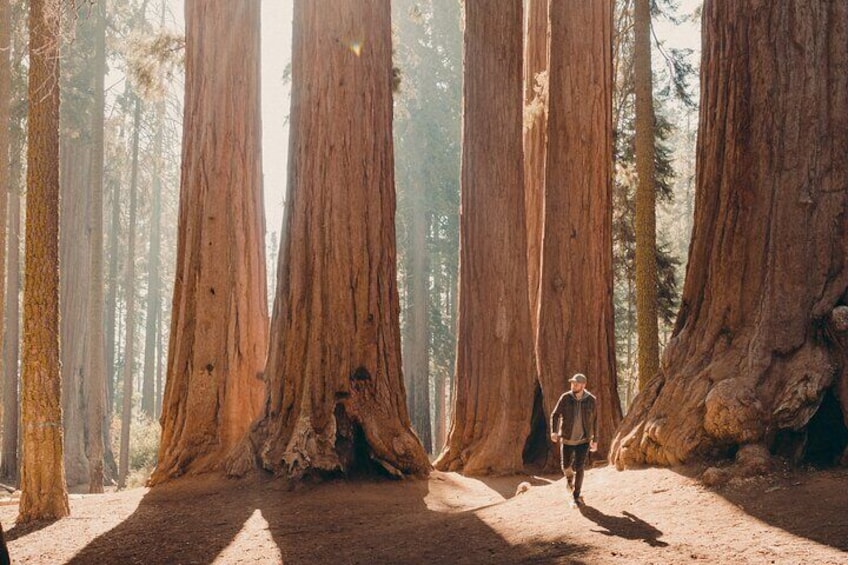 Sequoia & Kings Canyon Two Day Private Tour and Hike