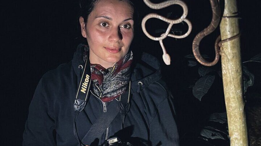 Secret Night Walk in Puerto Jimenez