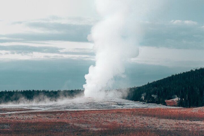 Yellowstone Full Day Small Group Tour (from West Yellowstone)
