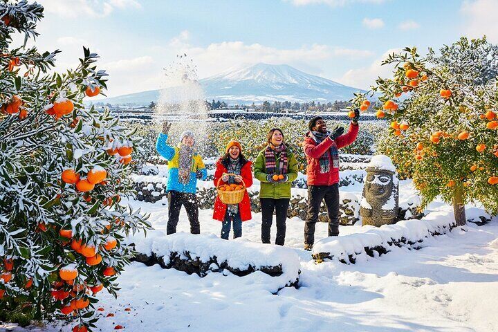 Jeju island Southern UNESCO Day Tour With Hallasan MT