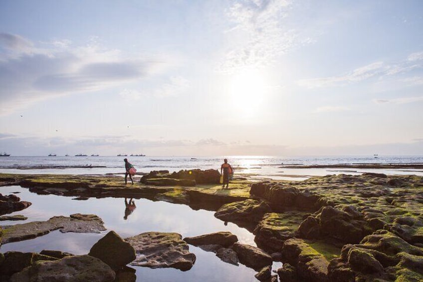 Jeju island South UNESCO Group Tour