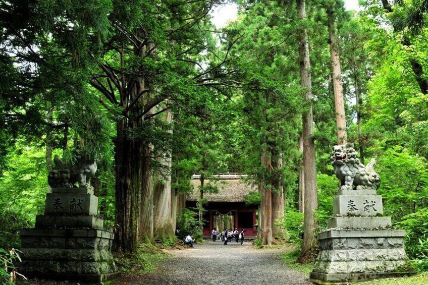 Nagano All Must Sees 6 hour Private Tour with Licensed Guide
