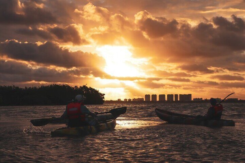 Guided Kayak Tour at Sunset in Cancun