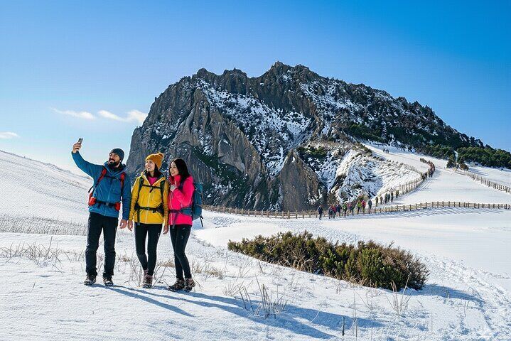 Jeju island Eastern UNESCO site Full Day Guided Tour