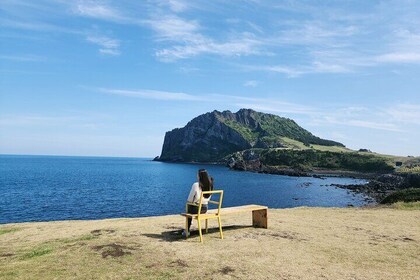 Jeju island Eastern UNESCO site Full Day Guided Tour