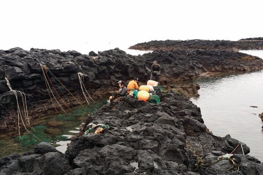 jeju Haenyeo