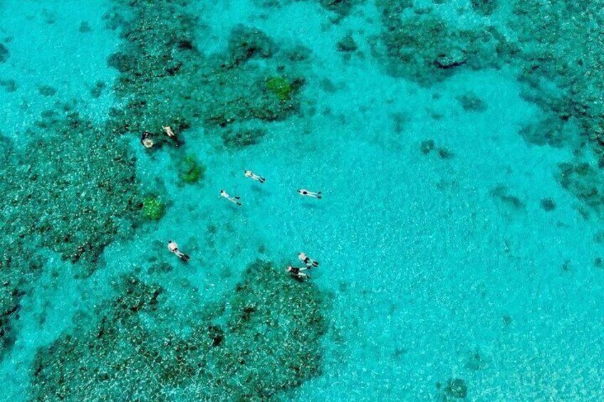 ABC smallest guided groups on the outer reef