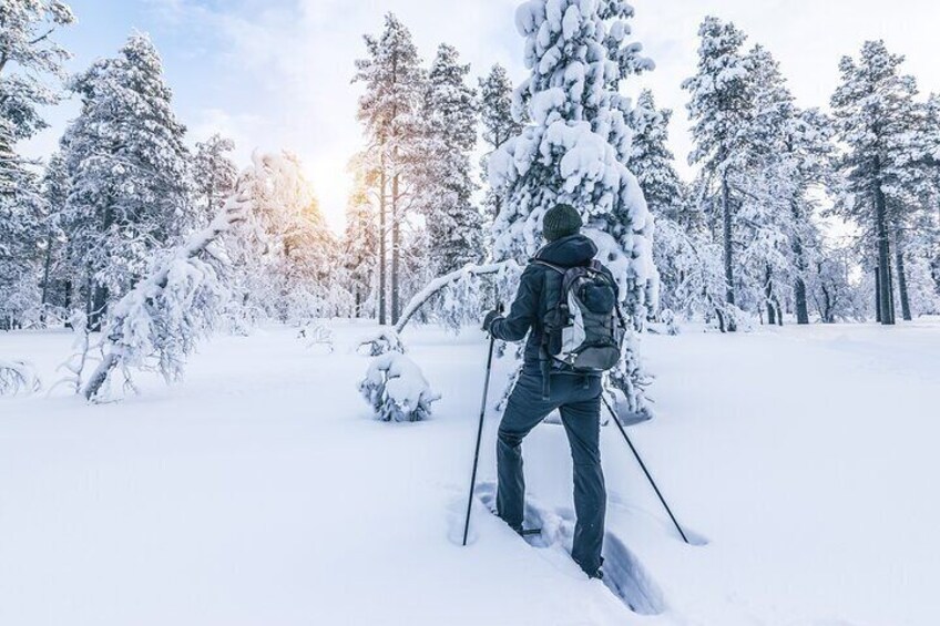 Snowshoeing in Lake Tahoe Mountains