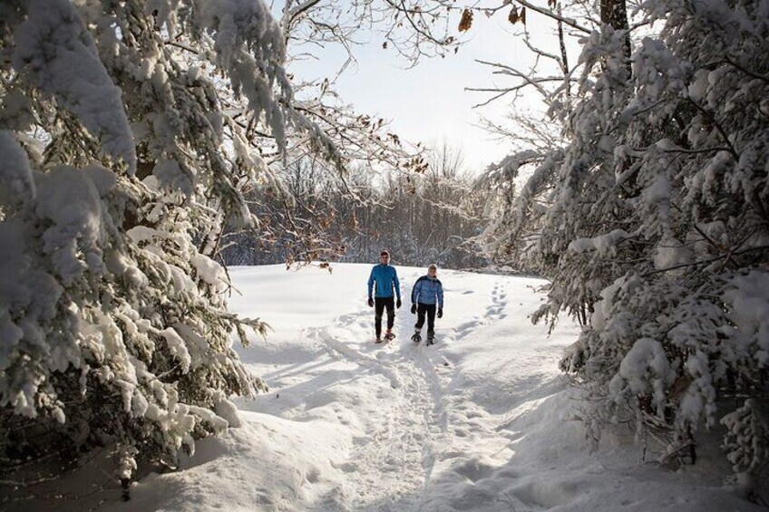 Snowshoe Tour in the Lake Tahoe Mountains