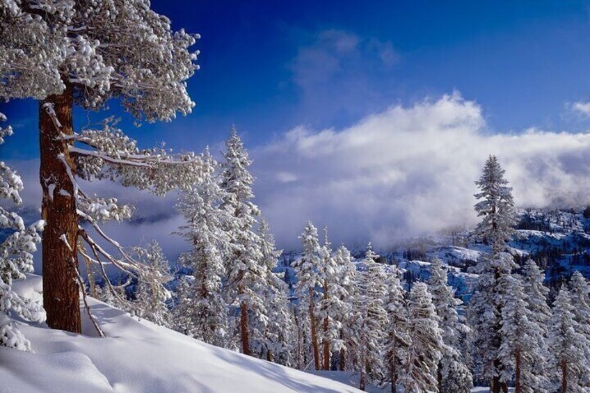 Snowshoe Tour in the Lake Tahoe Mountains