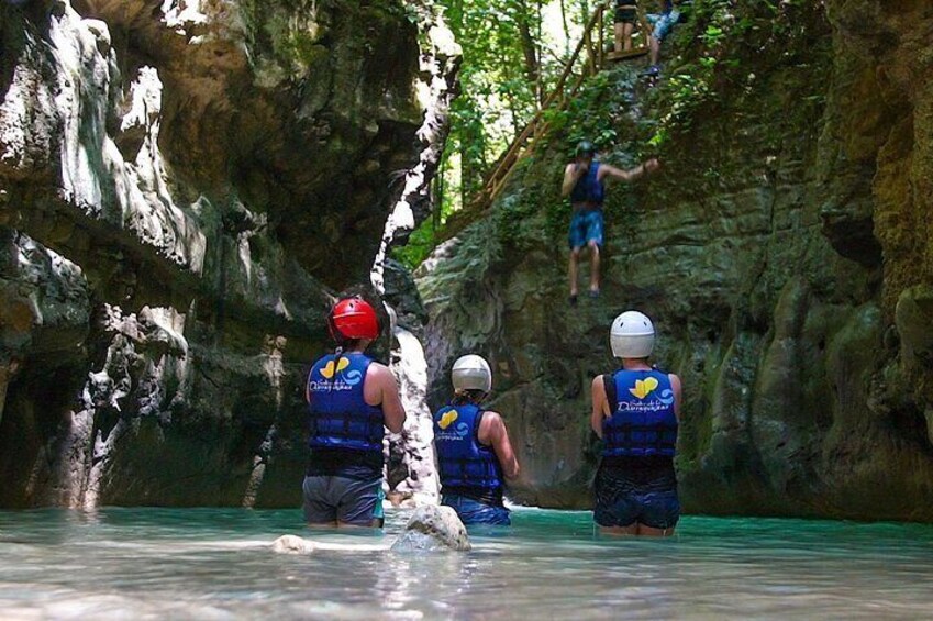 Waterfalls of Damajagua Private Tour
