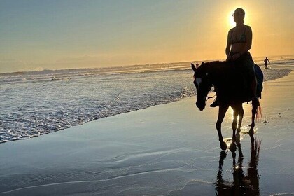 Bali Horse Riding seminyak beach Sunset Ride