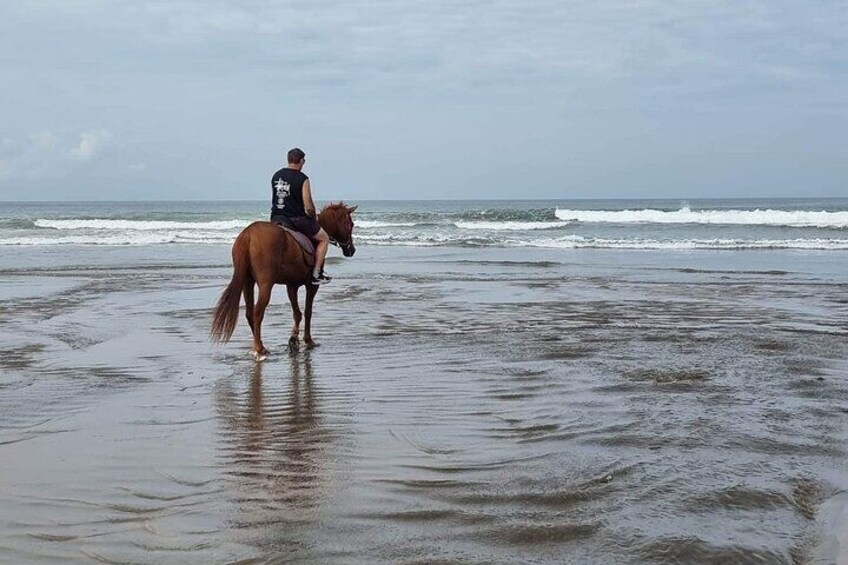 Horse Riding under Sunset and Sunrise in Kuta Beach